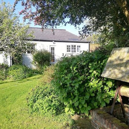 Cozy Country Cottage With Beautiful Rural Views New Quay Extérieur photo