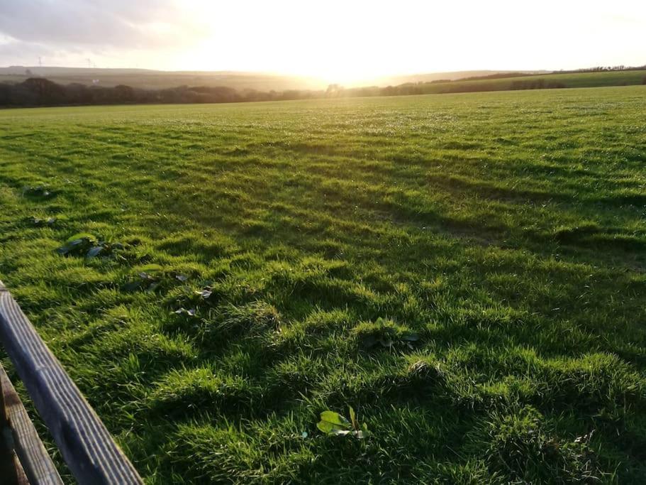 Cozy Country Cottage With Beautiful Rural Views New Quay Extérieur photo